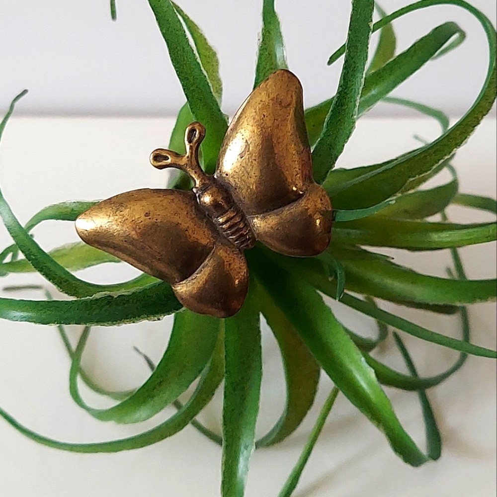 R195 Antiqued Brass Butterfly Statement Ring